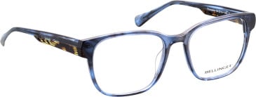 Bellinger Tornado glasses in Blue/Brown