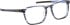 Blac Zoldo glasses in Blue/Blue