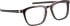 Blac Zoldo glasses in Brown/Black