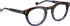 Entourage of 7 Santiago glasses in Brown/Blue