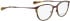 Bellinger Arc-4 glasses in Red/Light Brown