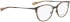 Bellinger Arc-4 glasses in Brown