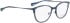 Bellinger Arc-4 glasses in Blue