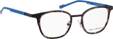 Bellinger Arc-X8 glasses in Brown/Brown