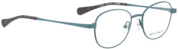 Bellinger Bold-2 glasses in Blue/Blue