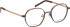 Bellinger Boldline-4 glasses in Brown/Rose Gold
