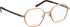 Bellinger Boldline-4 glasses in Rose Gold/Black