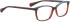 Bellinger Brows-4 glasses in Red/Red