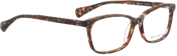 Bellinger Brows-4 glasses in Brown/Brown