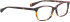 Bellinger Brows-4 glasses in Tortoise/Brown