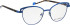 Bellinger Diva-1 glasses in Blue/Blue