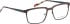 Bellinger Heat-3 glasses in Brown/Brown