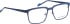 Bellinger Heat-3 glasses in Blue/Blue