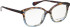 Bellinger Inside-3 glasses in Brown/Brown