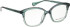 Bellinger Inside-3 glasses in Green/Green