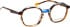 Bellinger Inside-5 glasses in Blue/Brown
