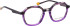 Bellinger Inside-5 glasses in Purple/Grey
