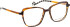 Bellinger Just-331 glasses in Brown/Brown