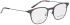 Bellinger Less Titan-5891 glasses in Brown/Brown