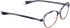 Bellinger Less-Ace-2043 glasses in Grey/Grey