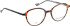 Bellinger Less-Ace-2387 glasses in Brown/Orange