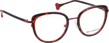 Bellinger Love-Kissing glasses in Brown/Brown