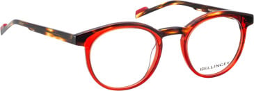 Bellinger Nighthawk glasses in Red/Brown
