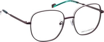 Bellinger Outline-7 glasses in Brown/White