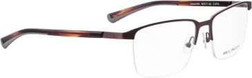 Bellinger Speed-800 glasses in Brown/Brown