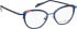 Bellinger Spin-1 glasses in Blue/Blue