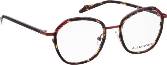 Bellinger Spin-2 glasses in Brown/Brown