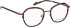 Bellinger Spin-2 glasses in Brown/Brown