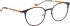 Bellinger Surface glasses in Black/Copper