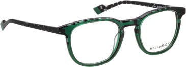 Bellinger Tiger glasses in Green/Green