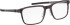 Blac Blanc glasses in Grey/Grey