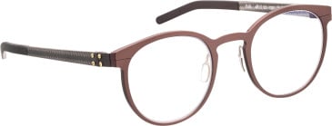 Blac Falk glasses in Brown/Black