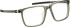 Blac Pentland glasses in Green/Green