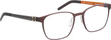 Blac Rask glasses in Brown/Black