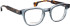 Entourage of 7 Gus glasses in Blue/Brown