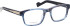 Entourage of 7 Levi glasses in Blue/Blue