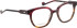 Entourage of 7 Magnolia glasses in Red/Red