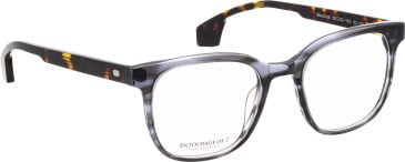 Entourage of 7 Maverick glasses in Grey/Brown