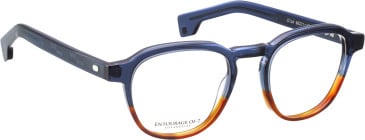 Entourage of 7 Miles glasses in Blue/Brown
