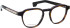 Entourage of 7 Miles glasses in Brown/Brown