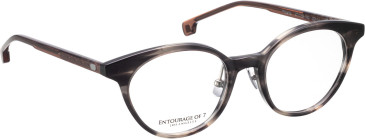 Entourage of 7 Phoebe glasses in Grey/Brown