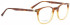 Entourage of 7 Rosecrans-Optical glasses in Brown/Brown