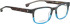 Entourage of 7 Scout glasses in Brown/Blue