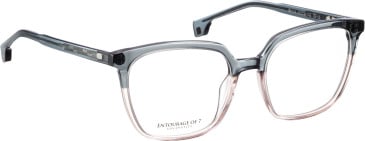 Entourage of 7 Selma glasses in Blue/Pink