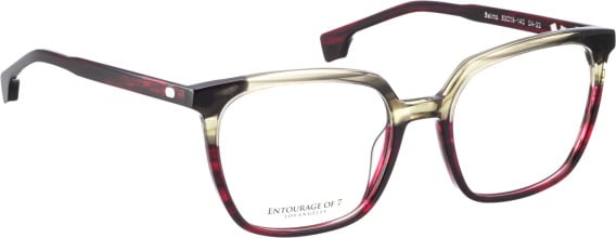 Entourage of 7 Selma glasses in Red/Grey