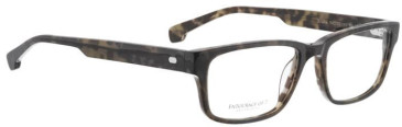 Entourage of 7 Shane glasses in Dark Grey/Brown